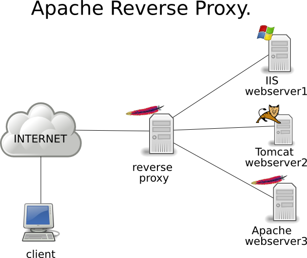 reverse proxy website